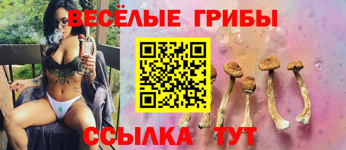 Галлюциногенные грибы Magic Shrooms Губкинский