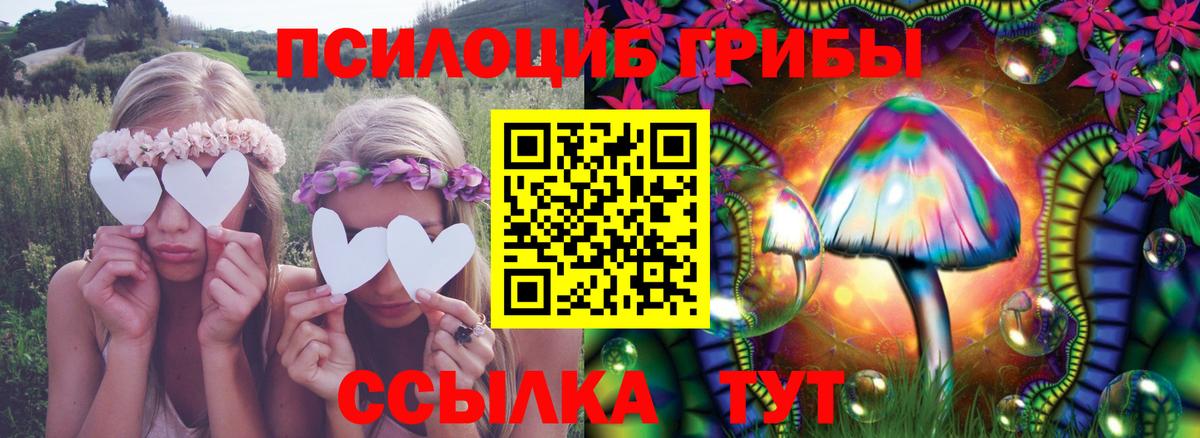 Галлюциногенные грибы Psilocybe  Вход с VPN  Галлюциногенные грибы ЛСД  Губкинский 